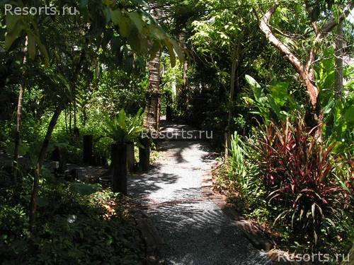AANA Resort & Spa 3
